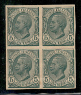 Regno - Vittorio Emanuele III - 1906 - 5 Cent Leoni (81e) - Quartina Non Dentellata - Gomma Originale (integra In Basso) - Sonstige & Ohne Zuordnung