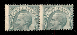 Regno - Vittorio Emanuele III - 1906 - 5 Cent Leoni (81) - Coppia Senza Valore - Dentellatura Inferiore Al Centro - Gomm - Sonstige & Ohne Zuordnung