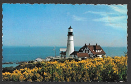 Phare  Lighthouse - Portland  Maine Head Light - By E.D. Muzzy - No: M1714 - Portland