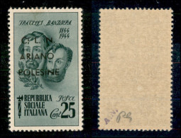 C.L.N. - Ariano Polesine - 1945 - 25 Cent Bandiera (Errani 44 L) Con C ; - Gomma Integra - Other & Unclassified