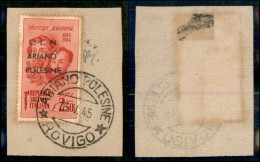 C.L.N. - Ariano Polesine - 1945 - 2,50 Lire Bandiera (Errani 46 L) Con C ; - Usato Su Frammento - Otros & Sin Clasificación