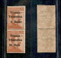 Occupazioni I Guerra Mondiale - Trentino-Alto Adige - 1918 - 20 Heller Su 20 Cent (30c+30d) Coppia Con Errori (0 Heller  - Autres & Non Classés