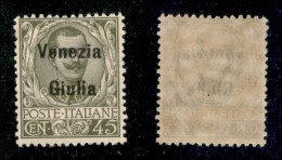 Occupazioni I Guerra Mondiale - Venezia Giulia - 1918 - 45 Cent Floreale (26) - Gomma Integra (150) - Other & Unclassified