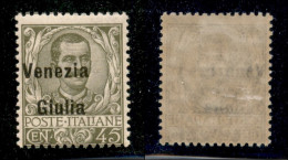 Occupazioni I Guerra Mondiale - Venezia Giulia - 1918 - 45 Cent Floreale (26eafb) Con Soprastampa A Sinistra - Gomma Ori - Autres & Non Classés