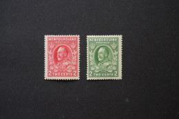 (T5) NEWFOUNDLAND 1932 KGV 2c (Red And Green) - MH - 1908-1947