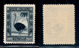 Colonie - Somalia - 1932 - 2,55 Lire Pittorica (180) - Gomma Integra (350) - Otros & Sin Clasificación