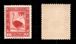 Colonie - Somalia - 1932 - 5 Lire Pittorica (181) - Gomma Integra (225) - Otros & Sin Clasificación