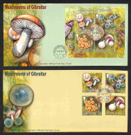 EUROPA - GIBILTERRA - Funghi (1054/1057 + Block 57) 2 FDC 15.9.03 - Andere & Zonder Classificatie