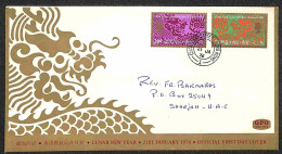 OLTREMARE - HONG KONG - 1976 - Anno Del Drago (316/317) - Serie Completa Su Busta FDC - Sonstige & Ohne Zuordnung