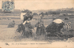 CPA 58 A LA CAMPAGNE / RETOUR DES COUPEUSES D'HERBE - Other & Unclassified