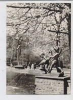 1000 BERLIN - FRIEDRICHSFELD, Tierpark Berlin (Zoo), Brunnen Im Kindertierpark, 1969 - Friedrichshain