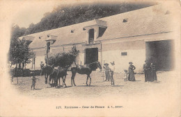 CPA 65 PYRENEES / COUR DE FERME - Otros & Sin Clasificación