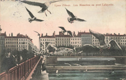 Lyon * En Hiver * Les Mouettes Au Pont Lafayette - Other & Unclassified