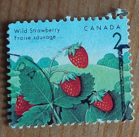 Fraise Sauvage (Fruit) - Canada - 1992 -YT 1263 - Oblitérés