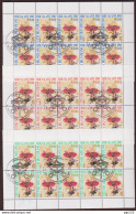 Vaticano 2005 Sass. 1372/74 Minifogli Da 10 O/Usati VF - Blocks & Kleinbögen