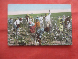 Black Americana Picking Cotton.      Ref 6218 - Negro Americana