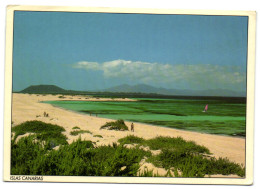 Islas Canarias 58 - Corralejo - Fuerteventura