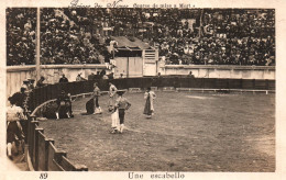 Nîmes - Carte Photo - Les Arènes - Course De Mise à Mort - Une Escabello - Corrida Torero - Photo BEDOUIN - Nîmes