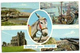 Greetings From Whitby - Whitby