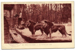 Exposition Coloniale Internationale - Paris 1931 - Jardin Zoologique - Le Plateau Des Lions - Lions