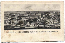 Tannerie Et Maroquinerie Belges - Soc. An. Saventhem-lez-Bruxelles - Zaventem