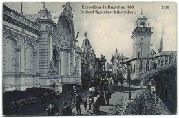 Exposition De Bruxelles 1910 - Section D'Agriculture & Horiculture - Wereldtentoonstellingen