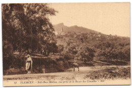 Tlemcen - Sidi-Bou-Médine Vue Prise De La Route Des Cascades - Tiaret