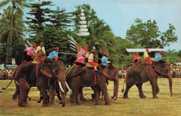 THAILANDE , Surin ,  Elephants Battle - Thaïlande