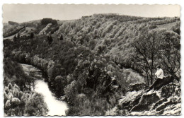 Nandrin - Vue Sur L'Ourthe Des Rochers Du Hérou - Nandrin