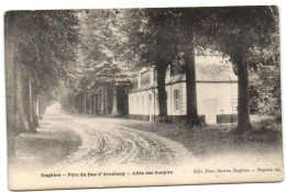 Enghien - Parc Du Duc D'Arenberg - Allée Des Soupirs (Ed. Duwez) - Edingen