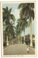 Port Antonio Road - Jamaica B.W.I. - Jamaïque
