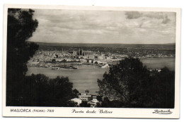 Mallorca (Palma) - Puerto Desde Bellver - Palma De Mallorca