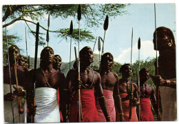 Masai - Warriors - Kenya - Kenya