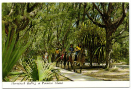 Bahamas - Horseback Riding At Pradise Island - Bahamas