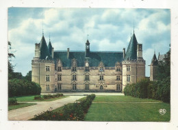 Cp, 86, GENCAY, Château De La Roche, Vierge, Ed. Artaud Frères - Gencay