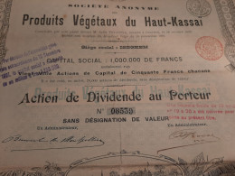 S.A. Des Produits Végétaux Du Haut-Kassaï - Action De Dividende Au Porteur - Iseghem 15 Novembre 1895. - Africa