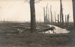 MONDE - Événement De La Toungouska - Carte Postale Ancienne - World