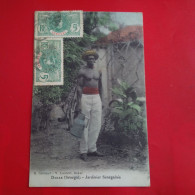 DAKAR JARDINIER SENEGALAIS - Sénégal