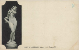 BELGIQUE - Luxembourg - Musée - Idrac - Carte Postale Ancienne - Autres & Non Classés