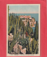 704. MONACO . VUE PRISE DU JARDIN EXOTIQUE .  CARTE NON ECRITE - Exotic Garden