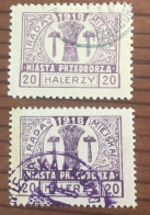Polen Lokal 1918 Przedbórz Gestempelt - Usati