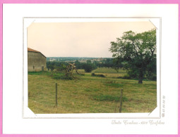 AVAILLES-LIMOUZINE-Ferme De La Bussière  " 3  Photographies Combeau CONFOLENS"16 - Availles Limouzine