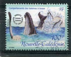 NOUVELLE CALEDONIE  N°  845  (Y&T)  (Oblitéré) - Used Stamps