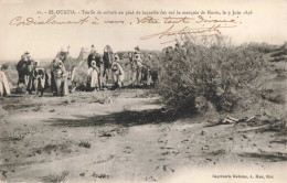 MAROC - El Ouatia - Touffe De Soboth - Carte Postale Ancienne - Autres & Non Classés