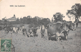 CPA AGRICULTURE / LE LABOUR - Autres & Non Classés