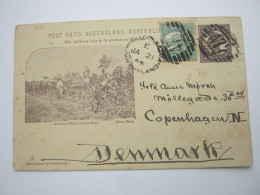 QUEENSLAND , 1899 , Card From Woolloon   Nach Dänemark - Storia Postale