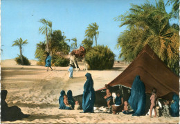 MAURITANIE - CAMPEMENT Dans L' OASIS - - Mauretanien