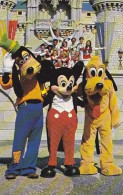 AK 171370 USA - Disney World - Goofy, Mickey And Pluto Pose ... - Disneyworld