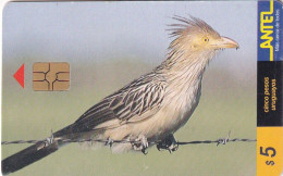 URUGUAY - Bird, Pirincho(78a), Chip GEM3.3, 09/99, Used - Aquile & Rapaci Diurni