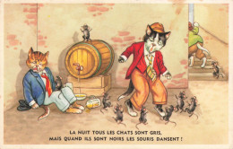 ILLUSTRATEUR - La Nuit Tous Les Chats Sont Gris - Colorisé - Carte Postale Ancienne - Otros & Sin Clasificación